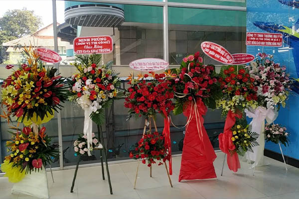 hình ảnh thực tế dịch vụ cho thuê máy tính quay dựng phim tại Hưng Long Thịnh Vượng