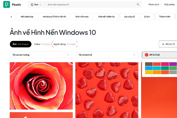 Trang web Pexel có theme win 10 đẹp 